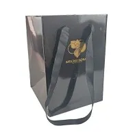 Γυαλιστερές χάρτινες τσάντες